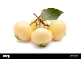 Image result for Syzygium jambos