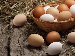 Kalo misalnya ayam menetas dari telur, telurnya datang dari mana? 7 Jenis Telur Ayam Mana Yang Paling Sehat