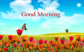 Free to download and use for your mobile and desktop screens. Good Morning Hd Wallpaper 3d Good Morning Images With Nature Hd Is Free On Elsetge Cat Please Downlo Good Morning Flowers Good Morning Images Morning Images