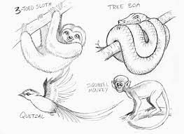 Download a free preview or high quality adobe illustrator ai, eps, pdf and high resolution jpeg versions. Illustrations And Concept Art Randyemberlin Com Cartoon Animals Animal Drawings Cute Animal Drawings