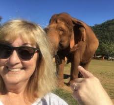 Bonnie Olson Life Coach