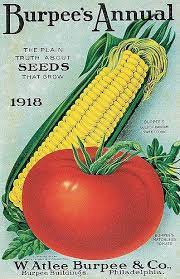 Burpee 1918 Front Cover Vintage Seed Packets Seeds Seed Packets