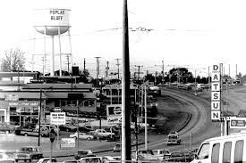 180 Poplar Bluff Ideas In 2021 Poplar Bluff Poplar Bluff Missouri Poplar