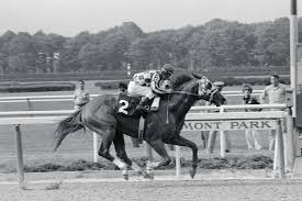 We were greatly impressed with the efficiency of the shuttle service for both races. A List Of The Kentucky Derby S Fastest Winners