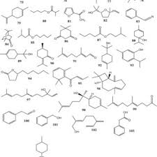 Image result for Landolphia foretiana