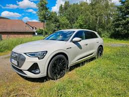 Image result for Siam Beige 2020 Audi