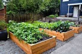 From Seattle Urban Farm Company Diy Raised Garden Raised Garden Raised Garden Designs