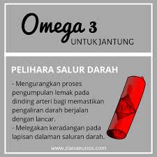 February 18, 2019/in kesihatan, motivasi /by cmn academy. Kebaikan Omega 3 Untuk Kesihatan Jantung Ziana Eunos
