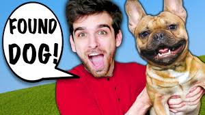 The breed is the result of a cross between toy bulldogs imported from england and local ratters in paris, france, in the 1800s. I Rescue Dog From Hackers In New York City Spending 24 Hours On Surprising Travel Challenge Youtube