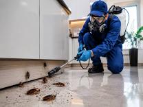 Pest Management Services Bangalore