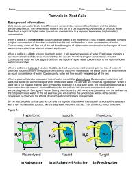 Osmosis is the movement of water across a semipermeable membrane in the direction of a more hypertonic environment. Osmosis In Plant Cells Lab