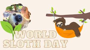 Time to stop beating around the bush and give you what we've all been waiting for. World Sloth Day Youtube
