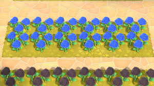 The flower garden is a camp space that allows players to breed and arrange flower species. How To Make Blue Roses Acnh Animal Crossing New Horizons Switch Game8