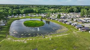 Image result for Kampochloa