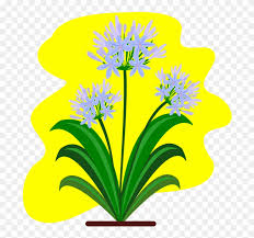 In interpretive point of view, it allo. How To Draw Flowers Step By Step Pdf