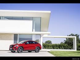 Image result for Hyacinth Red 2016 GL