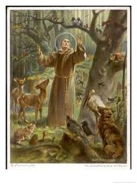 Saint Francis Of Assisi Preaching To The Animals Giclee Print Hans Stubenrauch Art Com St Francis Francis Of Assisi Assisi