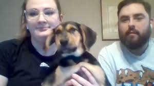 Maybe you would like to learn more about one of these? Want To Adopt A Maine Dog Or Cat During The Coronavirus Pandemic Newscentermaine Com
