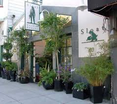 San Francisco Pierce Street Sloat Garden Center Tea Bar Vacations To Go Toronto Photography
