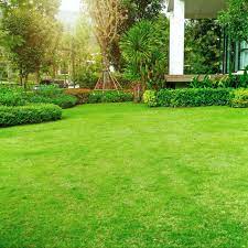 Lawn mower parts and accessories lawn mower parts and accessories. Sunday Lawn Care Review 2021 This Old House