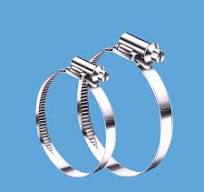 [Hot Item] All Stainless Steel 316 W5 Band Width 9mm Germany Type Worm Drive Hose Clamps