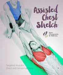 Assisted Chest Stretch Targeted Muscles Chest And Latissimus Dorsi For Performing This Exercise You L Muscle Stretches Partner Stretches Latissimus Dorsi