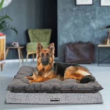 Looking for the best selection and great deals on dog beds ? Costco Round Dog Beds Dogs Life Beds