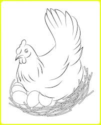 Kumpulan gambar mewarnai yang menarik dan bagus untuk anak tk dan paud dari gambar hewan, pemandangan, masjid, buah, gambar mewarnai hello kity dan lainnya. Gambar Sketsa Ayam Jago Betina Bangkok Goreng Kartun Lengkap