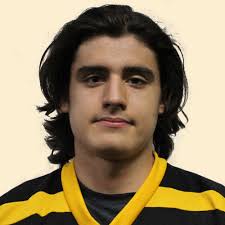 Nicholas Castillo Stats and Player Profile