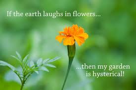 Does Your Garden Have A Sense Of Humour Haha Garden Quotes Gardening Humor Garden Inspiration