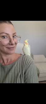 Looking for today's “Sonny” forecast? Sonny is hoping to “fetch” his  forever home's attention with today's post. If you're interested in meeting  Sonny, contact your AC today or visit https://www.lab-rescue.org/adopt to  find