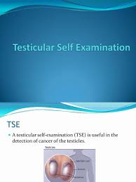 How do you do a testicular self exam? Testicular Self Examination Testicle Cancer