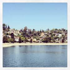 Tonight i ran into a swarm of gnats. Silverlake Reservoir Los Angeles Silver Lake Los Angeles Silver Lake California Travel