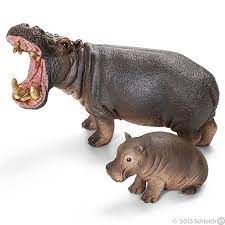 Toys Hippopotami Hippopotamus Schleich Animal Figurines Collectible