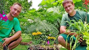 Der botanische garten jena, im herzen der stadt jena angesiedelt, bietet den besuchern die möglichkeit rund 12.000 pflanzenarten zu entdecken. Sonntag Ist Pflanzen Raritaten Borse Im Botanischen Garten In Jena Jena Ostthuringer Zeitung
