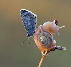 Pin En Fotografia