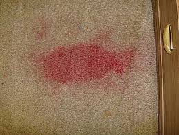 Once you've decided which type of red stain you're dealing with, you can tailor your cleaning approach. Ambassador Floor Company Cleaning Kool Aid Stains From Carpets