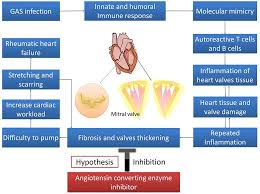 Image result for ACE Inhibitor