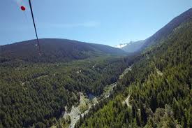Opening Season The Sasquatch Ziplining Travel Natural Landmarks