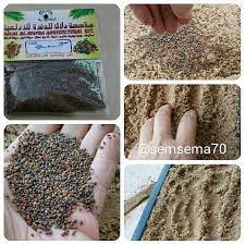 Pin On Planting Ideas