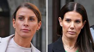 Wagatha Christie case: Judgement at a glance