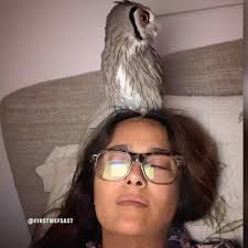 WHOOO else is thinkin about getting an owl now? @salmahayek #HotOnes