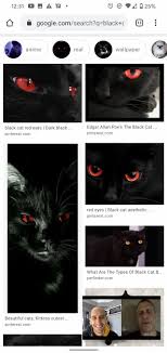 Anime, headphones, red eyes, black hair, anime girls, happy, the email protected: Cats Gonna Cat Home Facebook