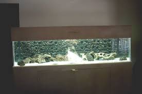 Http Www Diyaquarist Com Archives 208 Grotto Syle Background Aquarium Gouttieres Terrasse