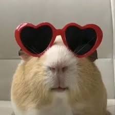 MARIA JESUS PIÑEIRO BELLO (mariajesuspieir)