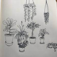 Drawn During A Slow Meeting Houseplants Line Art Drawings Plant Art Art Sketchbook