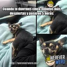 Pin De Estrellita En La Comedia Humor En Espanol Memes Graciosos Humor