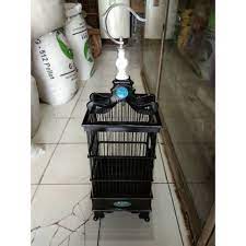Tebok pleci pvc motif barong sangkar kandang burung kolibri helopet hellopet pernis gloss. Sangkar Pleci Bnr Shopee Indonesia
