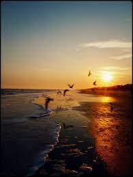 Superxhans S Deviantart Gallery Hilton Head Island North Carolina Beaches Places To Go