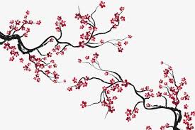 Flor De Cerejeira Clipart De Flor De Cerejeira Flores De Cerejeira Fundo Decorativo Imagem Png E Psd Para Download Gratuito Cherry Blossom Art Cherry Blossom Drawing Flower Drawing